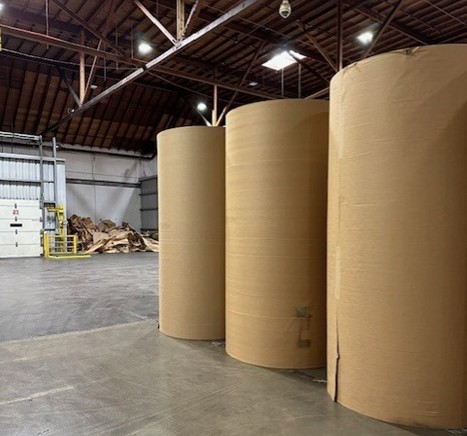 Paper Rolls in Warehouse